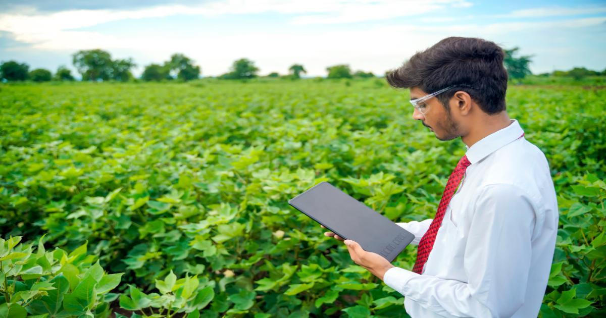 Study on Post-Harvest Losses of Agricultural Produce in India